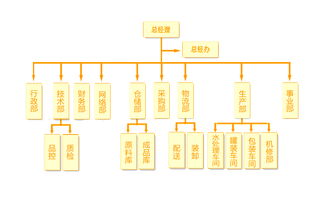 岛上草集团组织架构与业务发展概览